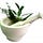 Go to the profile of Herbal Remedies Treatment