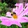 Go to the profile of Flourishing