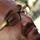Go to the profile of Luca Borghi