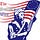 The Patriot’s Wire