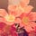 Go to the profile of Sri Vadana