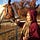 Sidra Mahmood