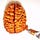 Go to the profile of Brain Post Blog