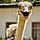 Go to the profile of Kobrigama