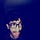Go to the profile of Ô Lucas