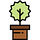 Planta: Estilo de Vida
