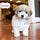Go to the profile of Dreamy Puppy