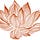 Lotus Life Foundation