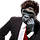 Congo Content
