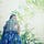 Go to the profile of Chelsey Hudson