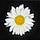 Go to the profile of heba al-qattan/هبة القطان