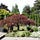 Go to the profile of The Tree Care Guide