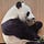 Go to the profile of stevesun21