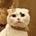 Go to the profile of Keishi Kawakami