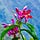 Go to the profile of MaryM
