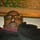 Ridwan Olalere