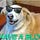 Go to the profile of such blog | very posting
