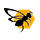 Selección de Cavalleto