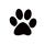 The CatJira Daily