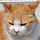 Go to the profile of ふじわら775SE™