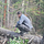 Go to the profile of Paulius Podziunas