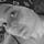 Go to the profile of Mattie Grace Mouton