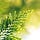 The Sustainability Graduate Programs