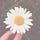 My Sprinkling Life