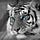 Go to the profile of Johanes Chandra Ekajaya