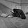 End Homelessness