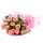 Go to the profile of Trishana Kashyap