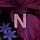 Neutral Introspection