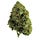Go to the profile of Medical Marijuana Palm