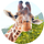 Go to the profile of Giraff.io