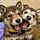 Go to the profile of lunalee906