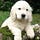 Go to the profile of Huong
