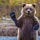 Go to the profile of Sr.Oso