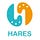 HARES MAGAZINE