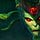 Go to the profile of Jeu de tennis ps3