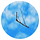 Go to the profile of Ohlsdorfer
