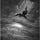Go to the profile of (ever)grayr