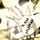 Go to the profile of Bonstyle