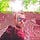 Go to the profile of Matty Milligan