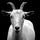 The Goatkeeper