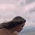 Go to the profile of laura.