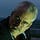 Go to the profile of Peter Petch