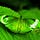 Go to the profile of attiq ur Rehman