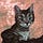 Go to the profile of Juno