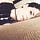 Go to the profile of Einav Rosu