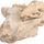 Go to the profile of Alfred Lebelo